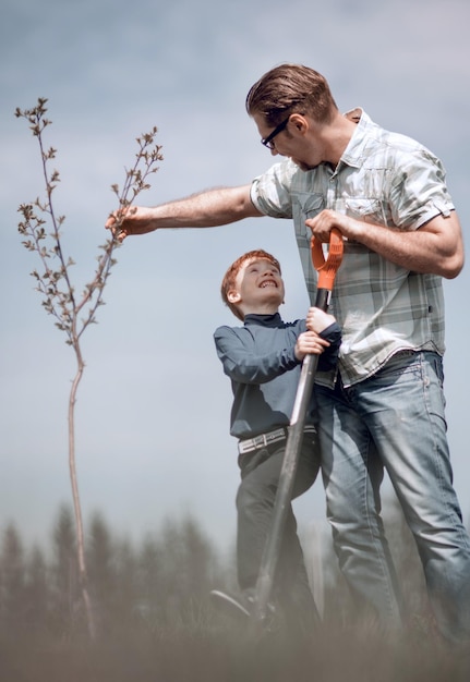 Pai e filho plantando uma árvore trabalhando juntos