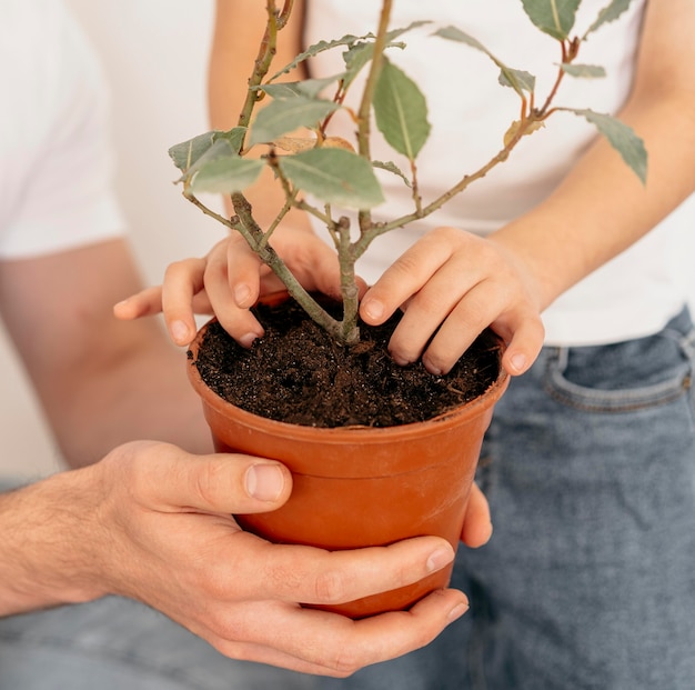 Foto pai e filho segurando um vaso de planta