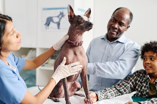 Foto pai e filho verificando a saúde dos cães em veterinários