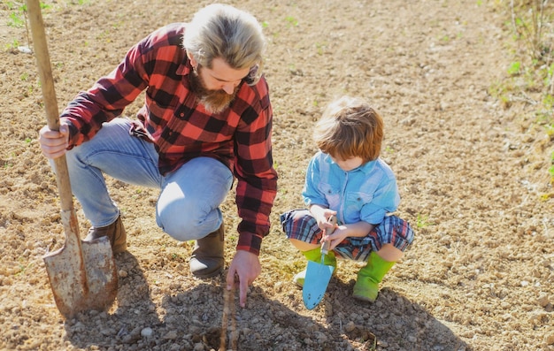 Pai plantando uma árvore com o filho ajudando-o pai e filho a jardinagem em planta de cultivo de solo de jardim