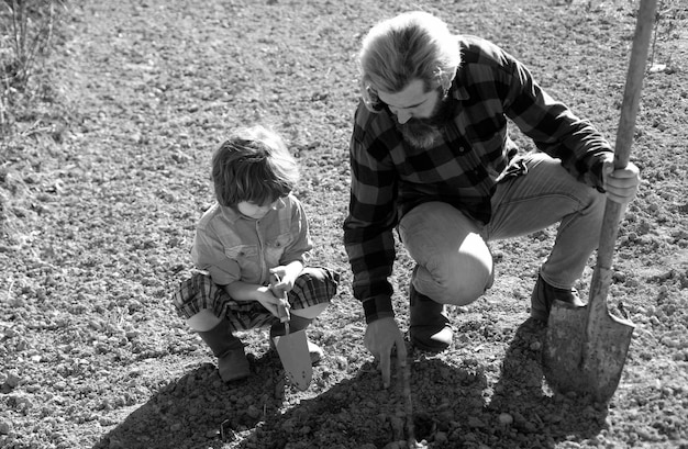 Pai plantando uma árvore com o filho ajudando-o Pai e filho jardinagem no jardim planta crescente