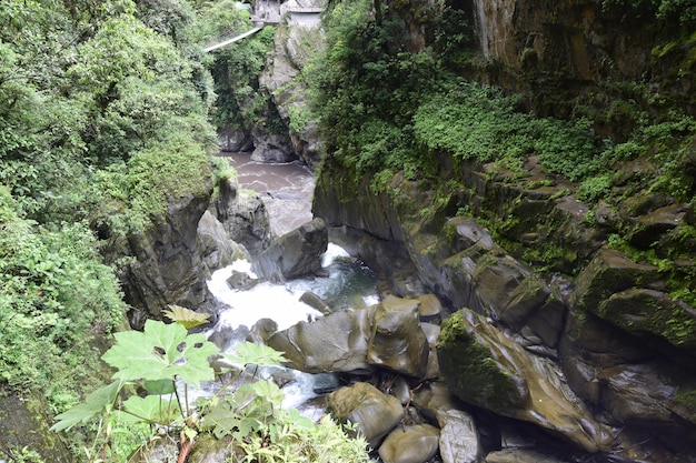 Pailón del Diablo Río de montaña y cascada en los Andes Baños