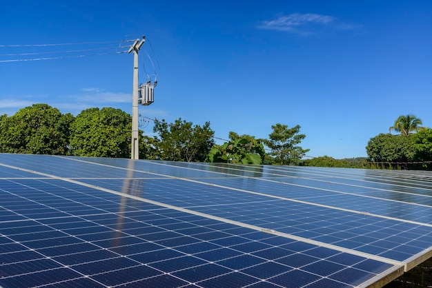 Painéis de energia solar em uma área verde rural no Brasil