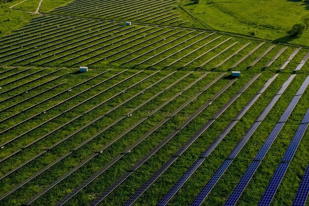 Painéis de estação de energia solar ecologia nos campos energia verde ao pôr do sol paisagem elétrica inovat ...