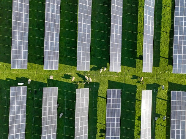 Painéis solares no campo no verão, vista aérea de drone