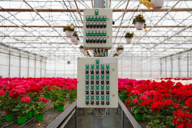 Painel de controle de irrigação em uma estufa moderna para o cultivo de flores