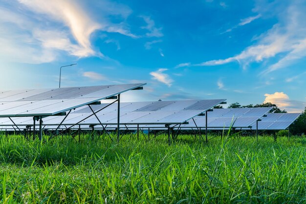 Painel de energia solar fotovoltaica no fundo do céu azul dramático pôr do sol verde limpo Conceito de energia de energia alternativa