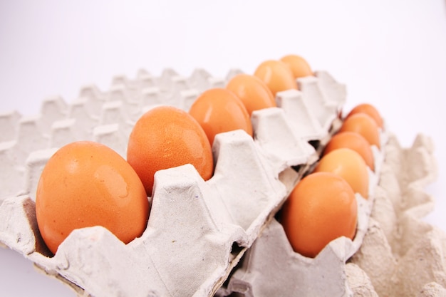 Painel de ovo com pano de fundo branco.