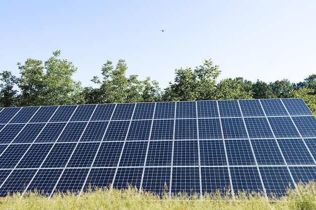 Painel solar azul cercado por árvores verdes