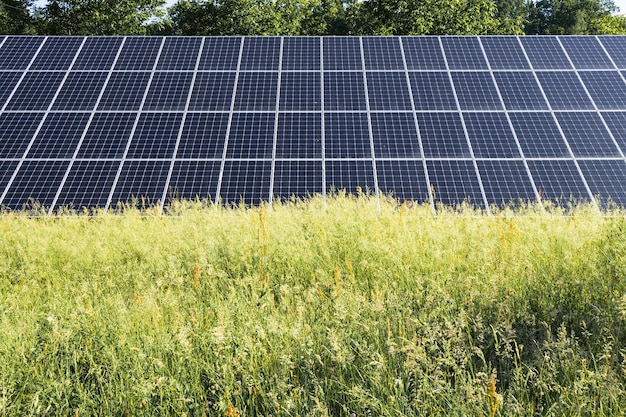 Painel solar azul cercado por árvores verdes