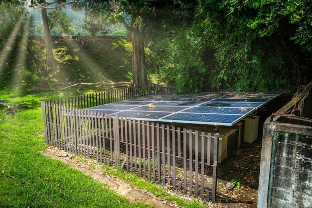 Painel solar em árvore verde sobre fundo natural Conceito de energia alternativa e energia limpa