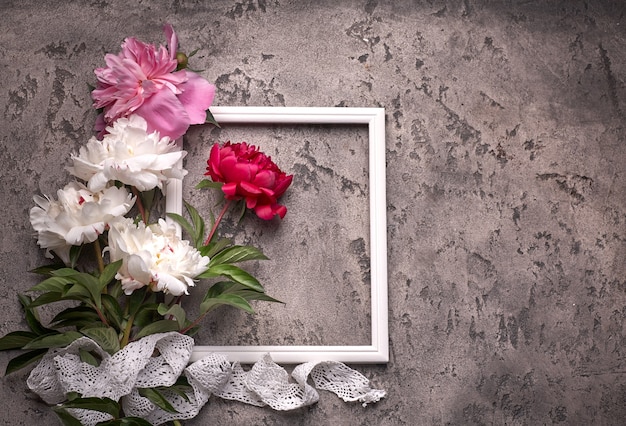 Paionies Blumen isoliert und weißer Rahmen auf grauem Hintergrund.