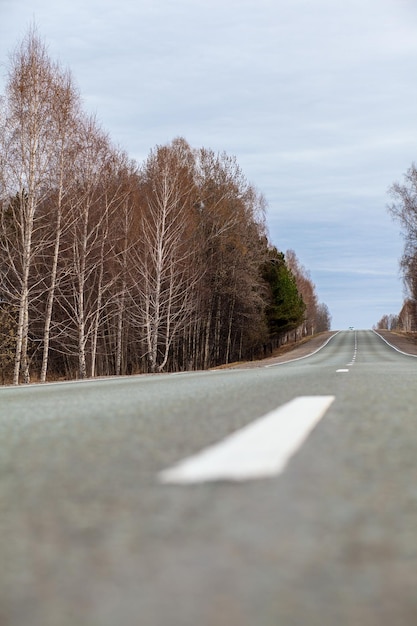 País por carretera con marcas en medio del bosque