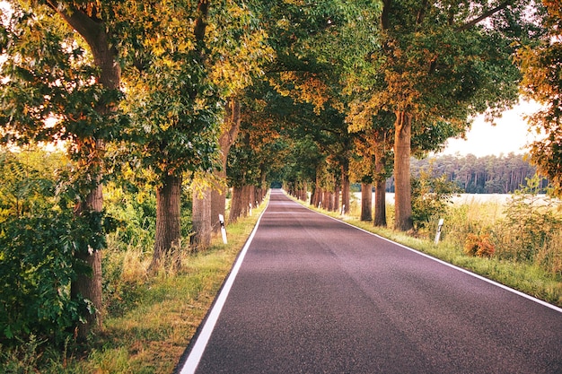 País por carretera en Saarland a la luz del sol poniente Fotografía de paisaje