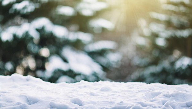 País das maravilhas de inverno Paisagem coberta de neve com árvores sob o sol brilhante