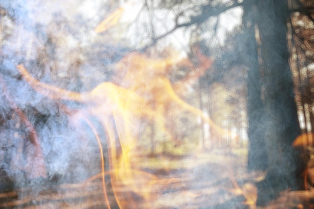 paisagem abstrata chama de fogo na floresta, fundo de incêndio florestal, desastre ecológico