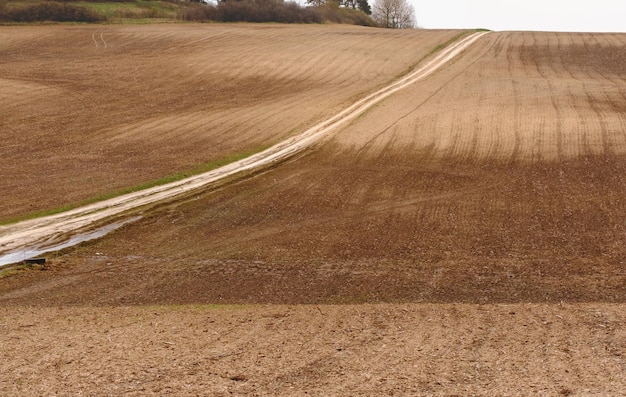 Paisagem agrícola com uma colheita recém-plantada em solo calcário