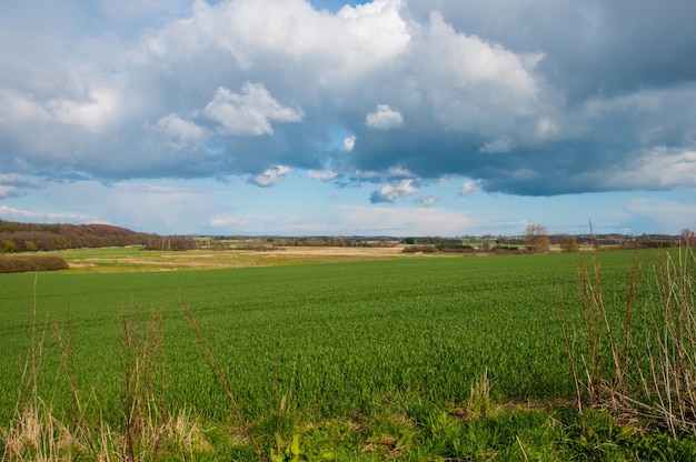 paisagem agrícola dinamarquesa