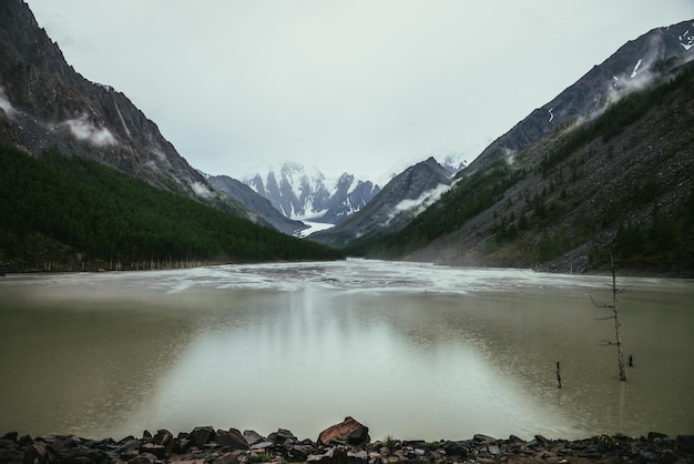 Paisagem alpina atmosférica com árvore seca em água verde do lago de montanha de montanhas nevadas em tempo nublado. Cenário sombrio com lago verde com círculos chuvosos e nuvens baixas no vale da montanha