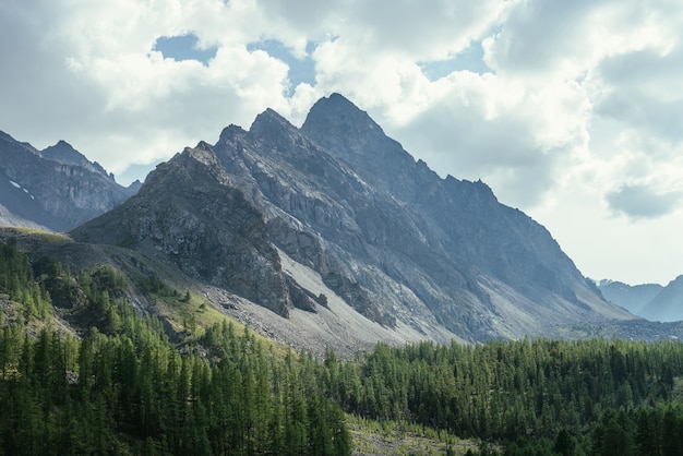 Paisagem alpina cênica com grande montanha em forma de dragão sob céu nublado. Belas paisagens montanhosas com grandes pedras afiadas em céu nublado, acima da floresta de coníferas. Montanha alta incrível com topo pontiagudo