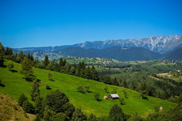 Paisagem alpina de verão com campos verdes e vales Bran Transilvânia