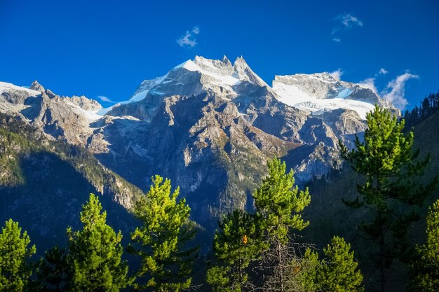 Paisagem alpina do Tibete