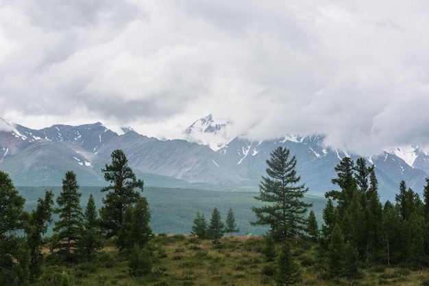 Paisagem alpina sombria com floresta verde escura com vista para o grande pico de montanha nevada em nuvens baixas cenário de montanha atmosférica escura com árvores coníferas na colina e topo da montanha de neve no céu nublado