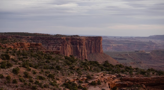 Paisagem americana e Red Rock Mountains na temporada de primavera do Desert Canyon