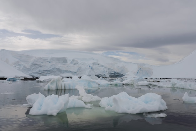 A Grande Paisagem de Ices: Ajude animais bonitinhos na Antártica! - Bodog