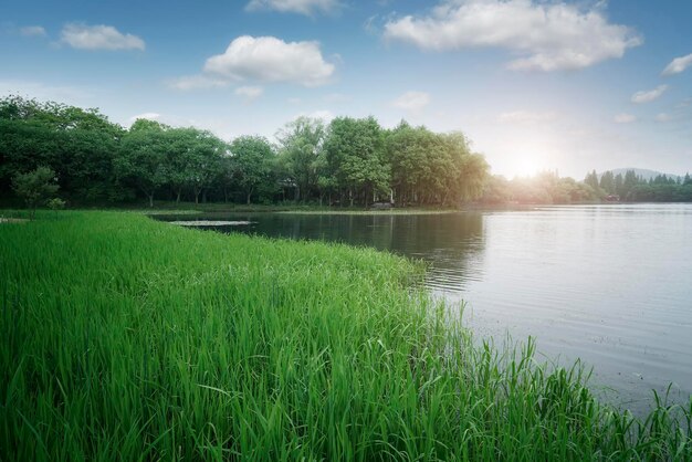 Paisagem ao ar livre jardim lago cenário natural