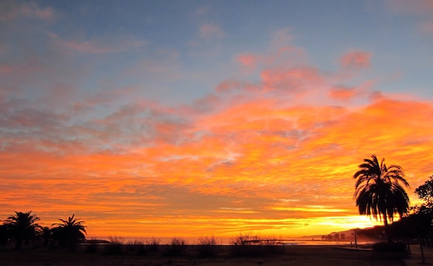 paisagem ao pôr do sol