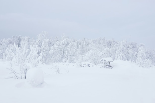 Paisagem arborizada com neve branca e gazebo coberto de geada