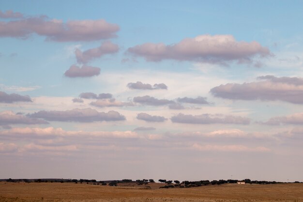 Paisagem árida seca