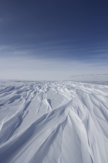 Paisagem ártica de inverno varrida pelo vento