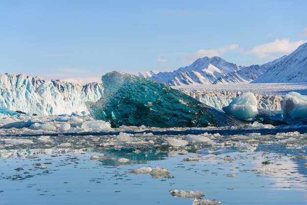 Paisagem ártica geleira