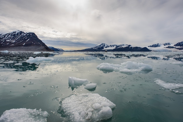 Paisagem ártica