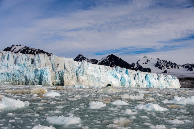 Paisagem ártica