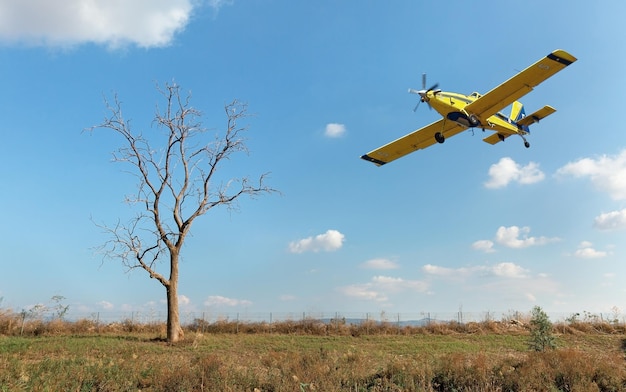 paisagem árvore solitária e avião no céu azul