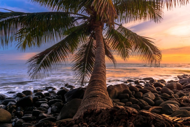 Paisagem asiática ao pôr do sol na praia com coqueiros