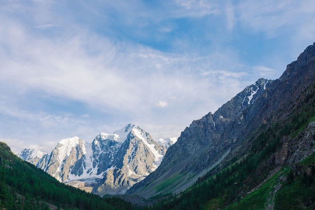 Paisagem atmosférica com grande montanha nevada e floresta nas encostas