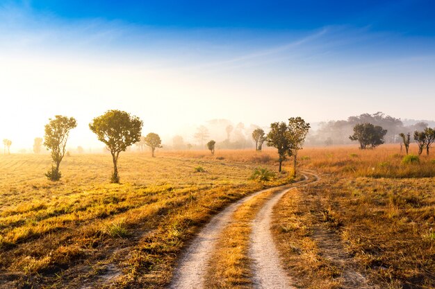 paisagem bela montanha do nascer do sol e nebuloso na Tailândia