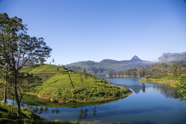 Paisagem bonita de Sri Lanka. rio, montanhas e plantações de chá