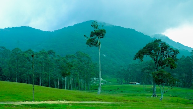 Paisagem bonita em western ghats