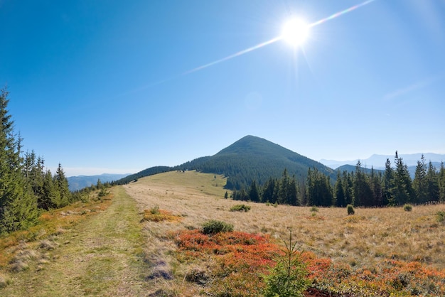 Paisagem brilhante com prado verde gramíneo e colinas distantes no verão