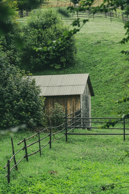 Paisagem cênica na natureza, floresta e colina.