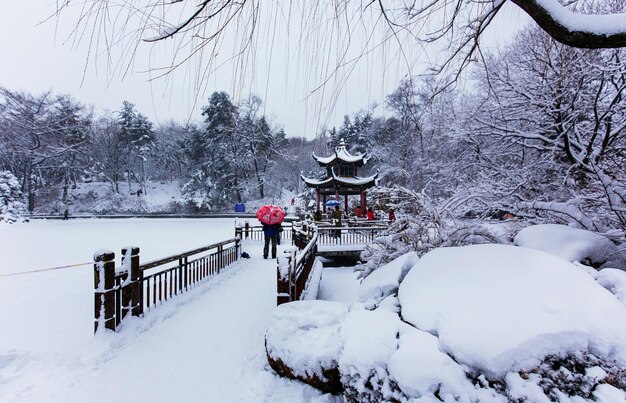 Foto paisagem coberta de neve contra o céu claro durante o inverno