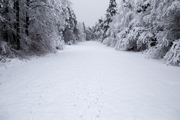 Paisagem coberta de neve contra o céu