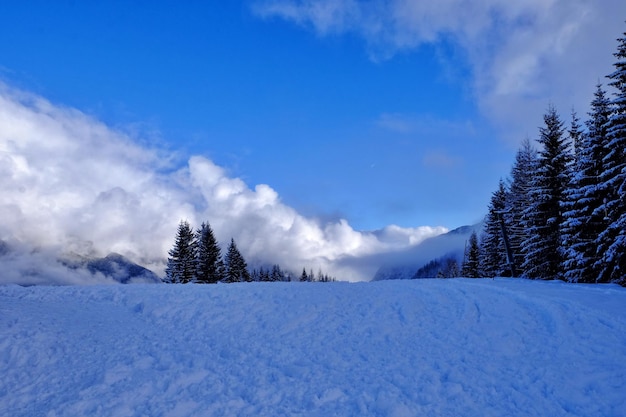 Paisagem coberta de neve contra um céu nublado
