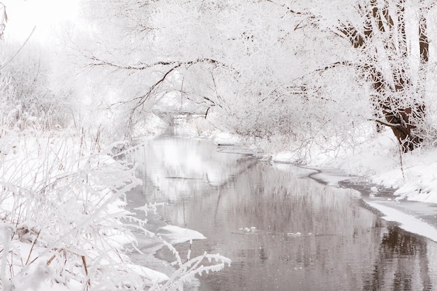 Paisagem coberta de neve de espaços abertos perto do clima de neve do rio