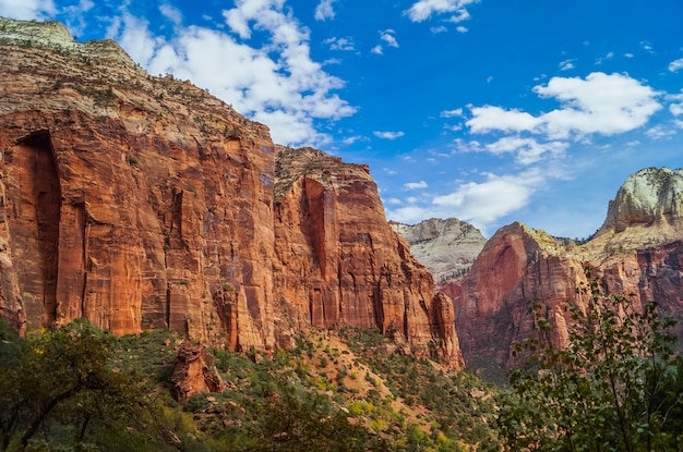 Paisagem colorida de zion national park utah